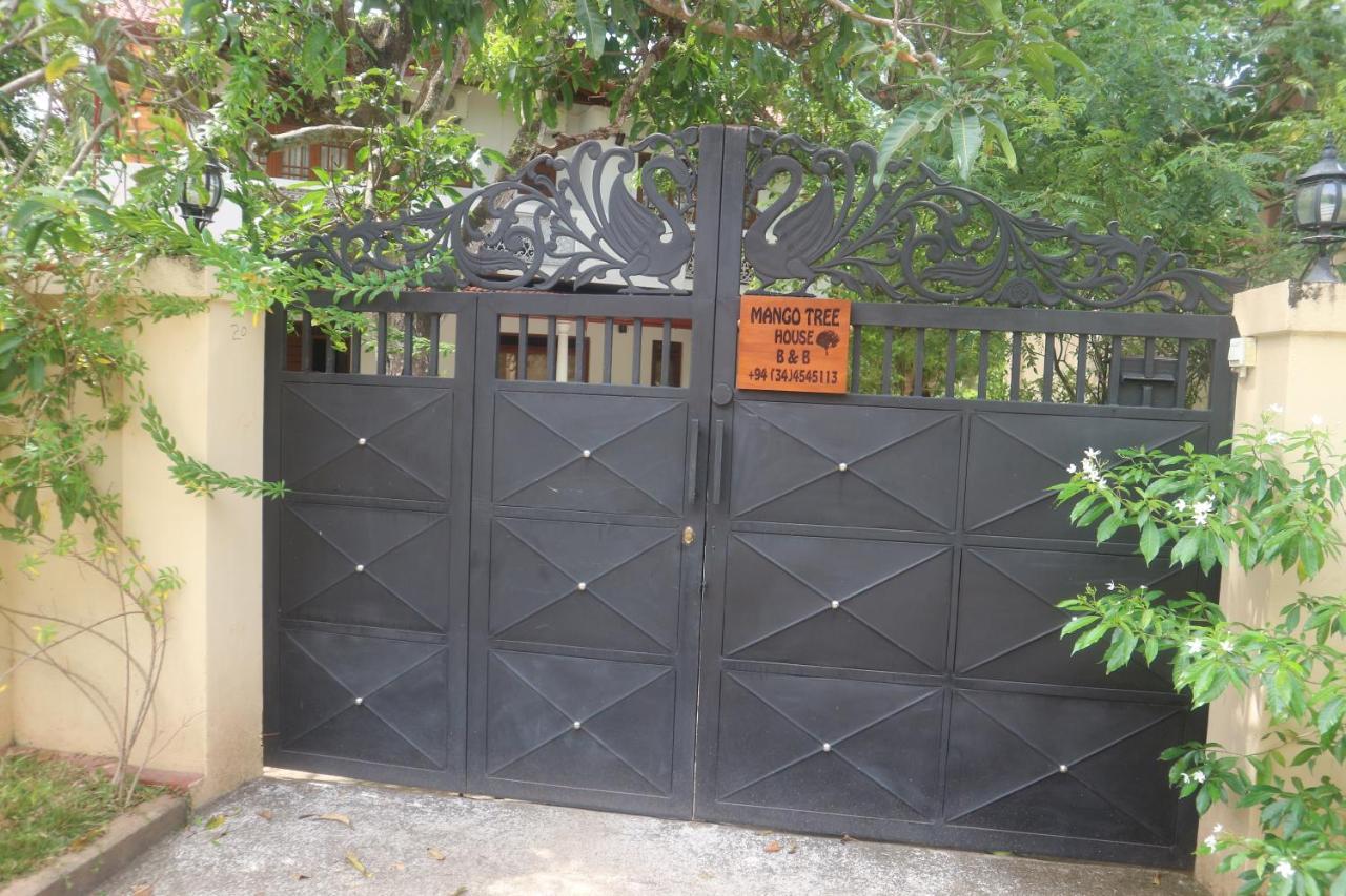 Mango Tree House Bed & Breakfast Beruwala Exterior photo